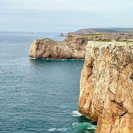 게스트하우스 Casa Sarguito