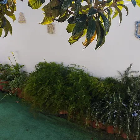 Casa Sarguito 4*