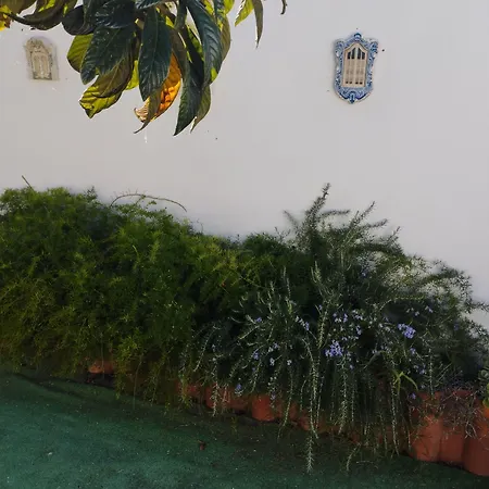 게스트하우스 Casa Sarguito 사그레스