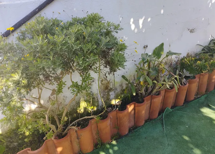Pensjonat Casa Sarguito 4*